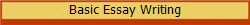 Basic Essay Writing 
